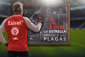 Nuevo insecticida foliar Exirel® para el control de plagas en cultivos