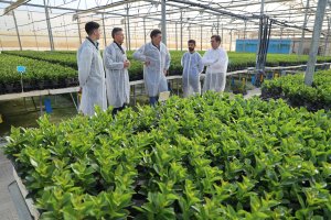 El alcalde ha recorrido las instalaciones del Semillero Fuente Nueva junto al concejal de Agricultura y a los propietarios de la empresa Juan García y Juan José Luque.
