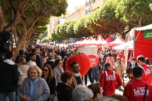 Se espera que pasen por el evento decenas de miles de personas.