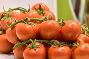Tomates cherry rama, presentes en el stand de una de las comercializadoras en ediciones anteriores de Infoagro Exhibition
