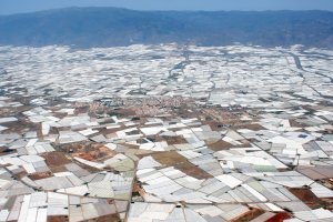 Invernaderos en el Poniente almeriense