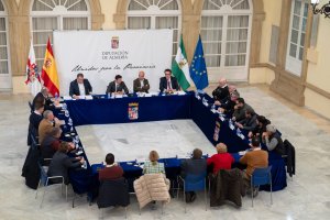 Reunión de la Diputación de Almería con los alcaldes y alcaldesas.