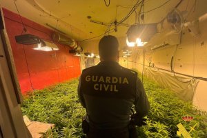 Archivo de la incautación de Marihuana en Vícar de la Guardia Civil.