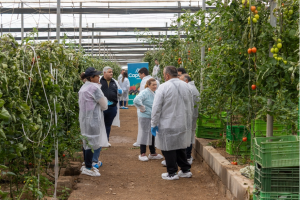 Jornadas de Puertas Abiertas Panoramix