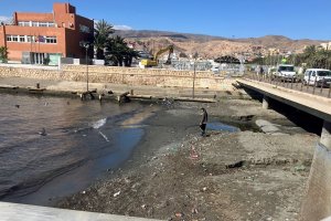 Aguas fecales bajo el puente de Las Almadrabillas