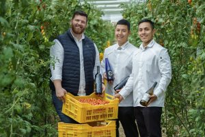 Imagen de los invernaderos de Agrícola Salmeron López, donde se cultivan los tomates Baby Pera Bio Camelot, a solo 0,5 km del restaurante Villa Cadima.