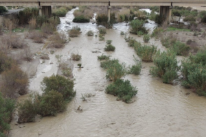Una de las crecidas recientes en el río Andarax.