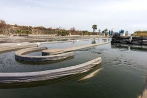 Vistas de las balsas de la depuradora de El Toyo