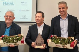 Con la participación del presidente de FERAL, la delegada de Gobierno de la Junta, los alcaldes de Viator y Vícar, además de diferentes ponentes que han hablado de la situación hídrica de la provincia