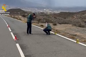 Imagen del atropello facilitada por Guardia Civil.