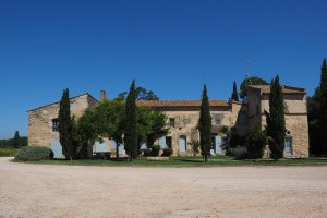 Cocampo prevé que en 2025 se compren un 4,4% más de fincas rústicas que el año pasado, superando las 160.000 adquisiciones.