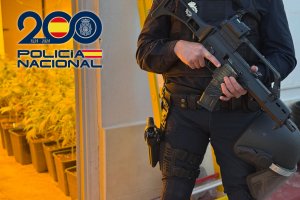 Uno de los agentes de la Policía Nacional custodia una d las plantaciones intervenidas.