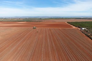 “Hay que redistribuir más y mejor, revisar algunas ayudas asociadas y reflexionar sobre el descenso de solicitudes”.