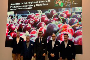 Hasta hoy, la presidencia la ha ostentado la italiana Simona Caselli, en representación de la región de Emilia-Romagna.