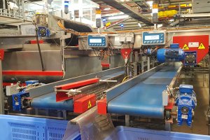 Las empresas y cooperativas de COEXPHAL demuestran su resiliencia ante el apagón eléctrico.