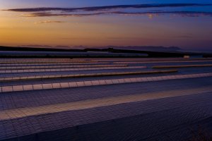 La campaña ‘Es de invernadero. Frutas y Hortalizas Sostenibles de Europa’ destaca el impacto positivo de esta forma de producción sostenible.