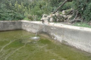 La balsa de los moros de Bédar.