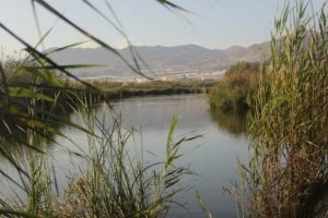 Archivo de las Albuferas de Adra.