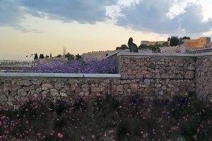 El mirador luce su mayor esplendor cuando empieza a esconderse el sol.