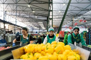 Almacén con producto hortofrutícola.