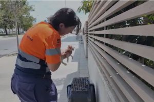 Irene Martínez durante el rescate de un pequeño gatito
