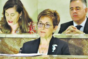 Adriana Valverde, en un pleno del Ayuntamiento de Almería.