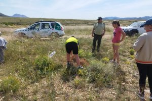 Alumnos participan en la reforestación del Parque Natural Sierra María-Los Vélez.