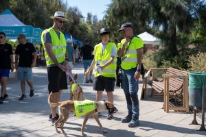 Primera jornada de AlmAnimal.