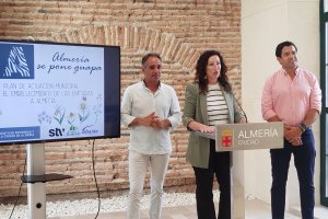 Presentación del proyecto de embellecimiento de rotondas