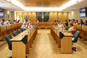 Desarrollo de la sesión plenaria extraordinaria de mayo de 2025 en El Ejido.