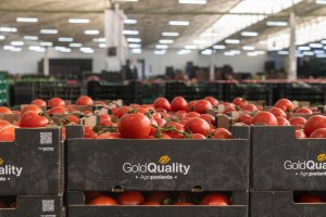 Grupo Agroponiente se incorpora a la Asociación 5 Al Día