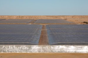 El tomate sigue siendo el producto más importado por la UE procedente de Marruecos, situándose en el primer trimestre en 369 millones de euros, un 2% más que en el primer trimestre de 2024.