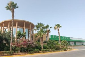 Durante este 2025 Grupo Ecoinver ha consolidado un aún más su expansión y diversificación al incorporar el melón amarillo a su portfolio