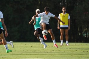 Carlos Rojas brillaba en la pretemporada de un Almería destino a Primera.