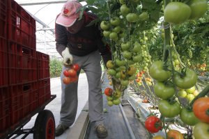 ¿Cuántos extranjeros viven en la provincia de Almería?