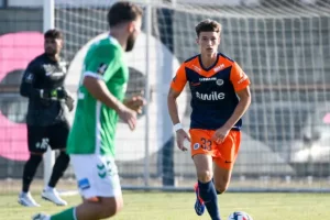 Dzocic refuerza el centro del campo del Almería.