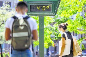 200807 Ndp Activación Plan Protección Civil Ola De Calor
AYUNTAMIENTO DE ZARAGOZA
  (Foto de ARCHIVO)
7/8/2020