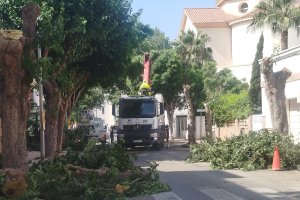 Trabajadores del servicio de parques y jardines con la poda