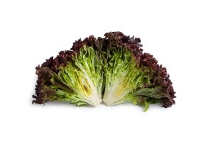 Rijk Zwaan ofrece nuevas variedades de lechuga ecológica para el sur de Europa