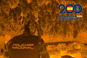 Imagen cedida por Policía Nacional.