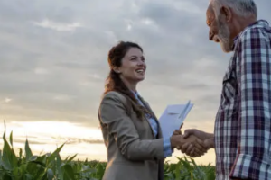 En el Boletín Oficial de la Junta de Andalucía (BOJA) del 23 de julio de 2025 se ha publicado la convocatoria para esta anualidad de las subvenciones relativas a pólizas firmadas en 2024.