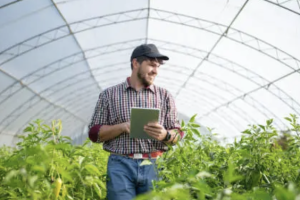 Almería bate récord histórico en exportaciones en los cinco primeros meses de 2025, superando los 3.000 millones de euros y liderando la balanza comercial andaluza.