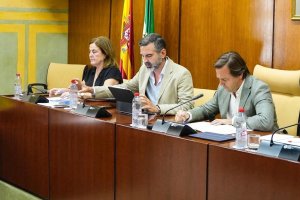 Fernández-Pacheco pide el apoyo de los parlamentarios para reclamar infraestructuras de Interés General del Estado pendientes en la región.