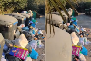 Fotografía tomada del vídeo subido por el perfil @Lasnegramas