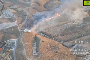 Imagen del incendio publicadas en las redes sociales del Plan Infoca.