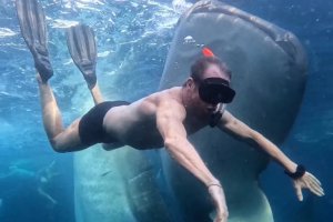 Pablo Motos nadando entre tiburones.