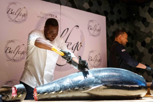 Un profesional de Balfegó realiza la técnica del ronqueo.