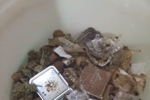 Sustancias encontradas en la vivienda por la Guardia Civil