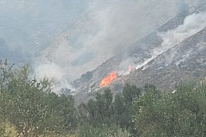 Imagen del incendio este mediodía.