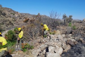 Efectivos del Infoca en la Sierra de la Atalaya.
